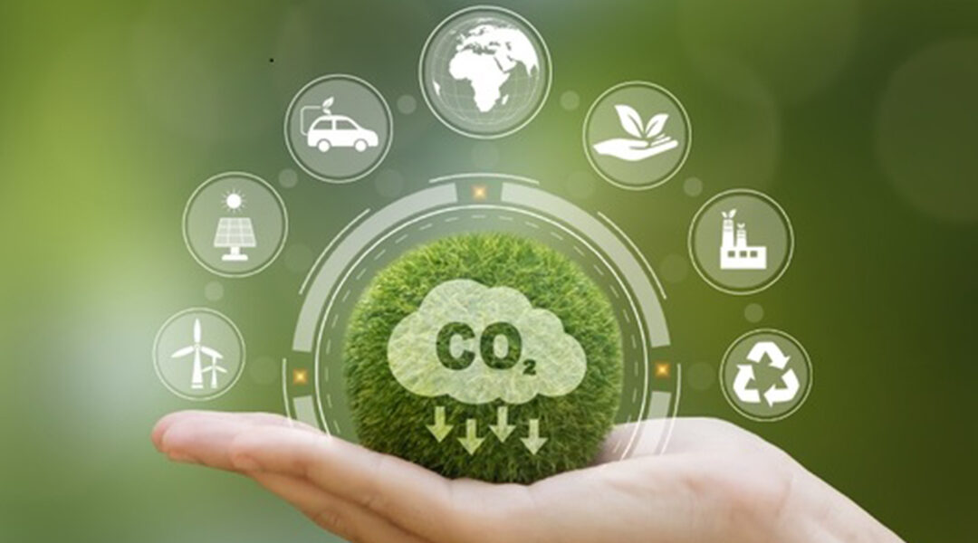 Scaling Green: Driving Sustainable Growth for a Greener Future