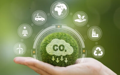 Scaling Green: Driving Sustainable Growth for a Greener Future
